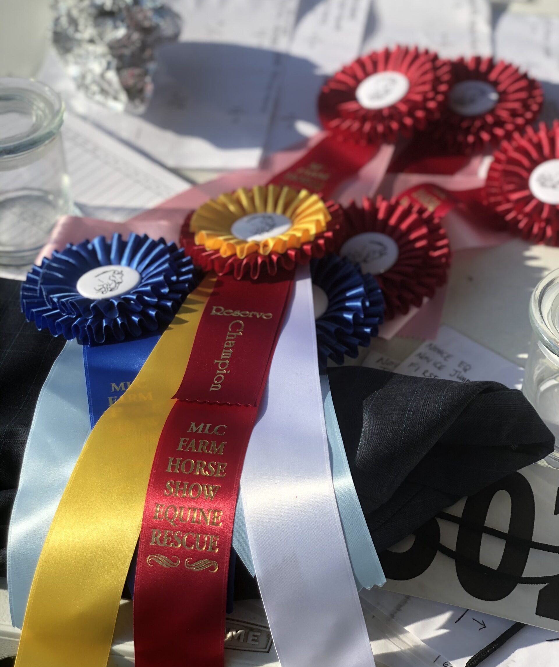 photo of a stack of winning horse ribbons