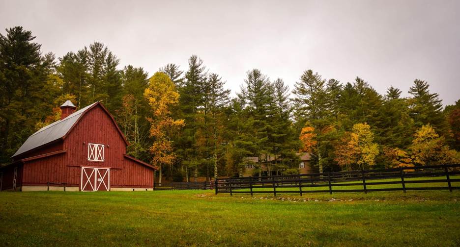Trees and fencing surrounding a red barn