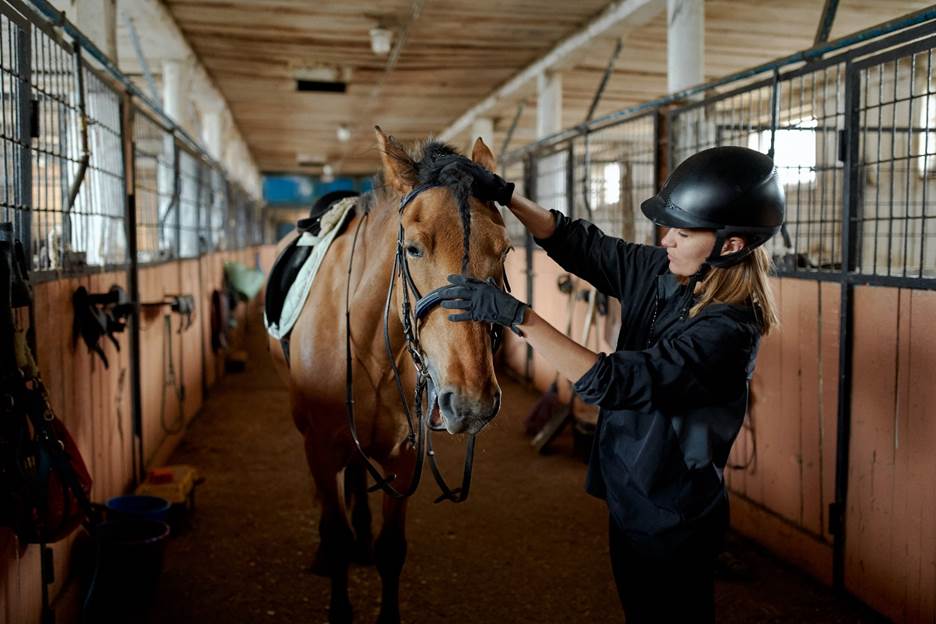 Rider preppering her horse in a barn